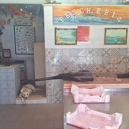 Mazzini House Apartmán Isola delle Femmine